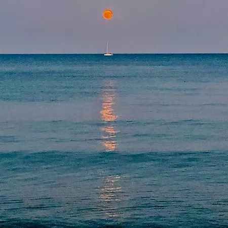 Bali 101 Lägenhet