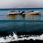 Bali 101 Λάρνακα