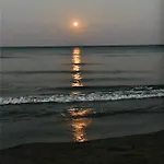 Bali 101 *