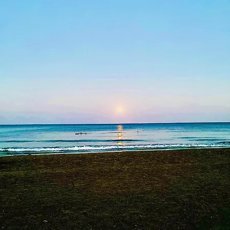 Bali 101 * ラルナカ