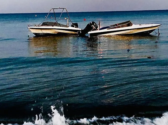 Bali 101 ラルナカ