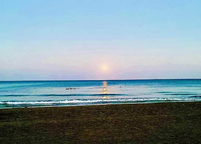 Bali 101 * ラルナカ